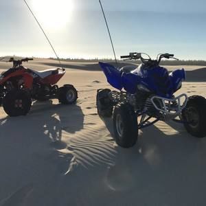 Meet your Posher, Mandi